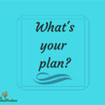 What's your plan?